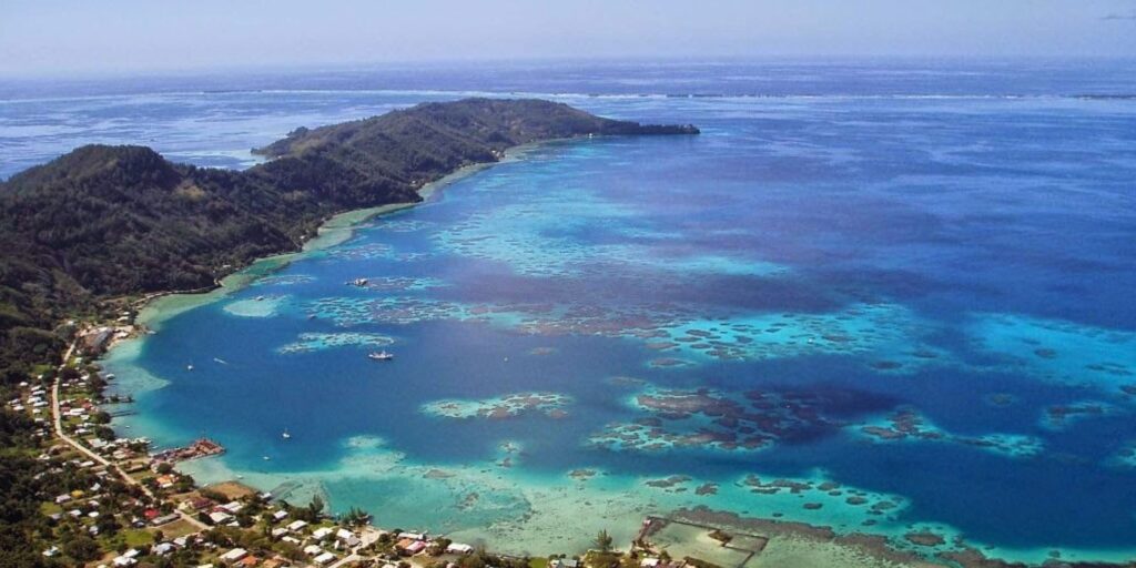 Supplier Kopi Luwak di Alor