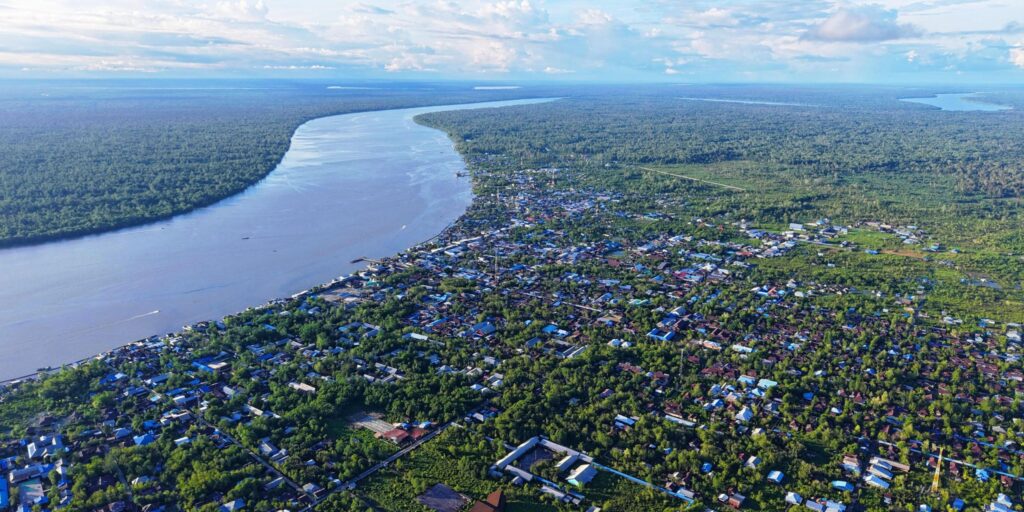 Supplier Kopi Luwak di Asmat