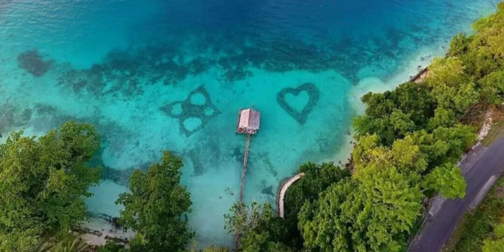 Supplier Kopi Luwak di Banggai Kepulauan