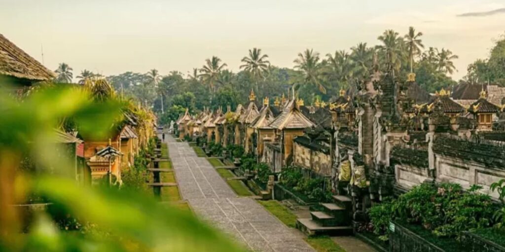 Supplier Kopi Luwak di Bangli