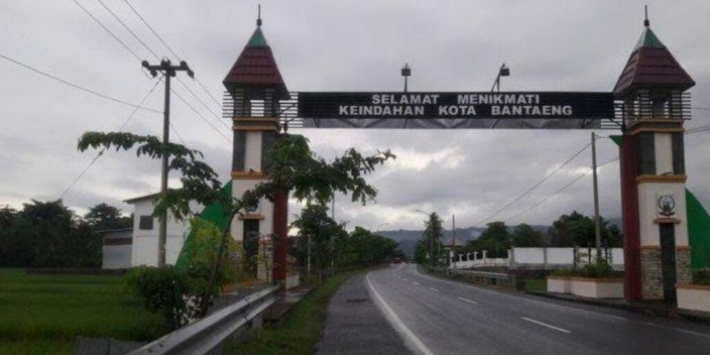 Supplier Kopi Luwak di Bantaeng