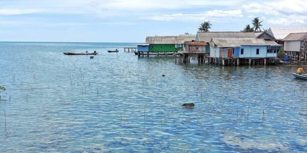 Supplier Kopi Luwak di Belitung Timur