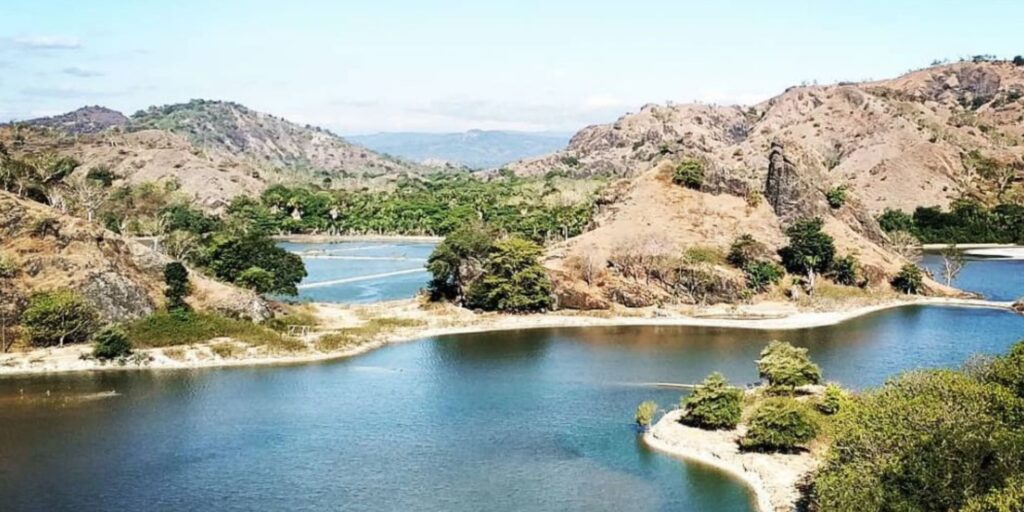 Supplier Kopi Luwak di Belu