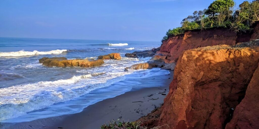 Supplier Kopi Luwak di Bengkulu Tengah