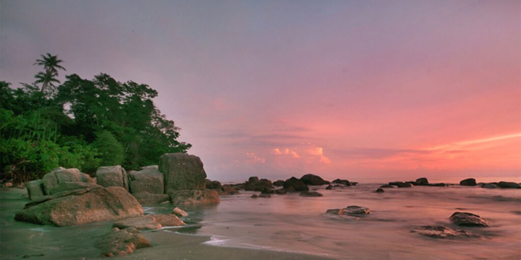 Supplier Kopi Luwak di Bolaang Mongondow Utara