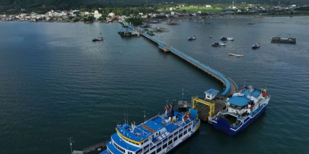 Supplier Kopi Luwak di Bombana