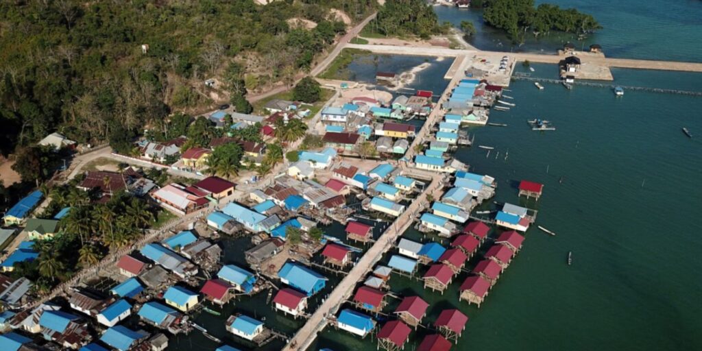 Supplier Kopi Luwak di Buton Utara