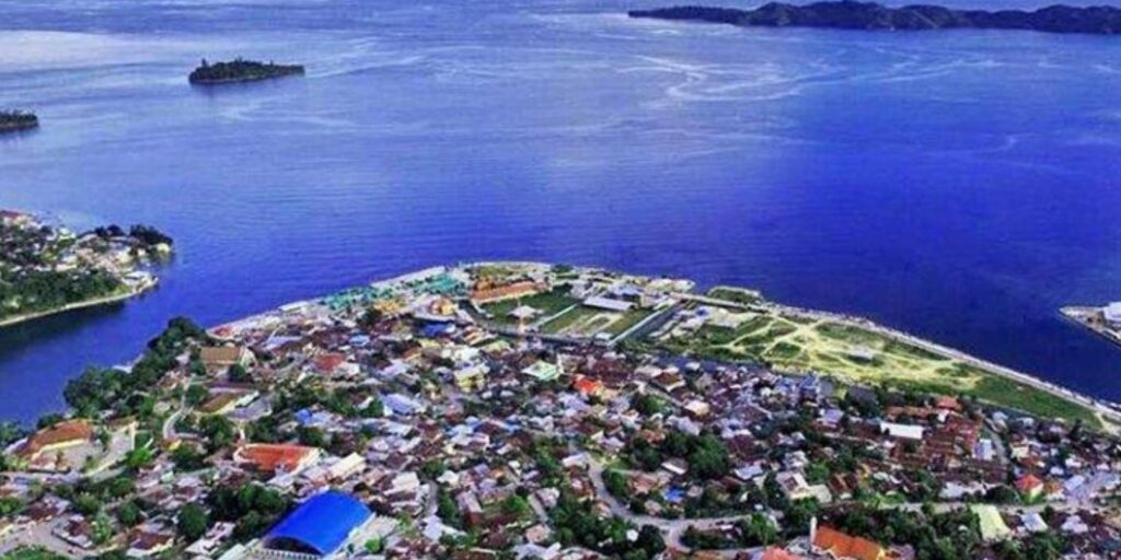 Supplier Kopi Luwak di Fakfak