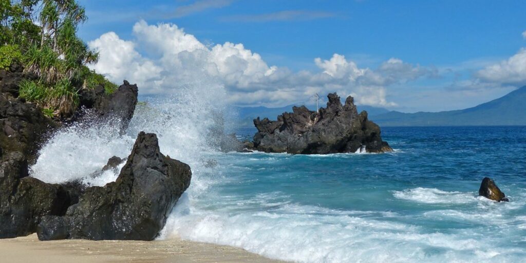 Supplier Kopi Luwak di Flores Timur