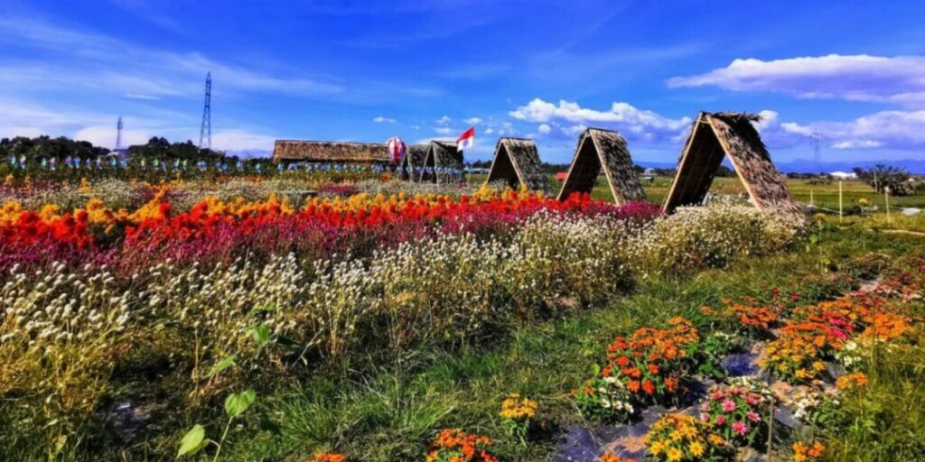 Supplier Kopi Luwak di Gowa