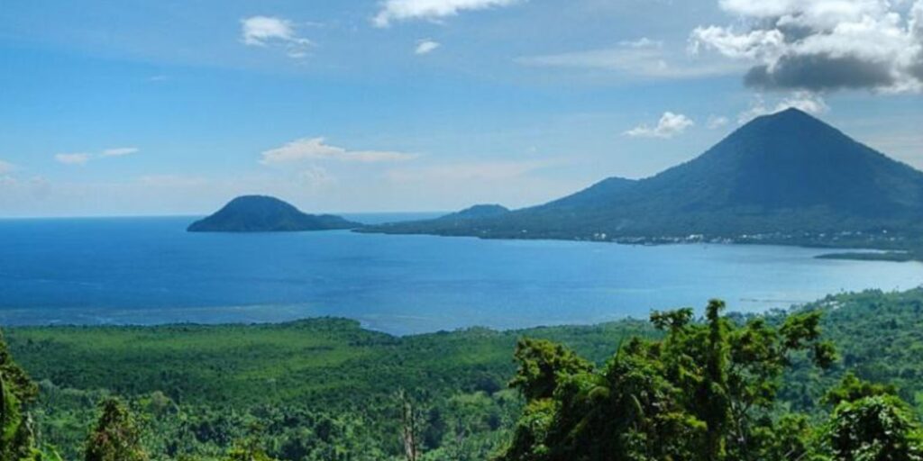 Supplier Kopi Luwak di Halmahera Barat