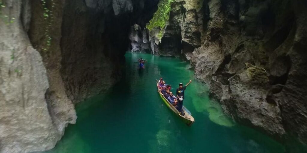 Supplier Kopi Luwak di Halmahera Tengah