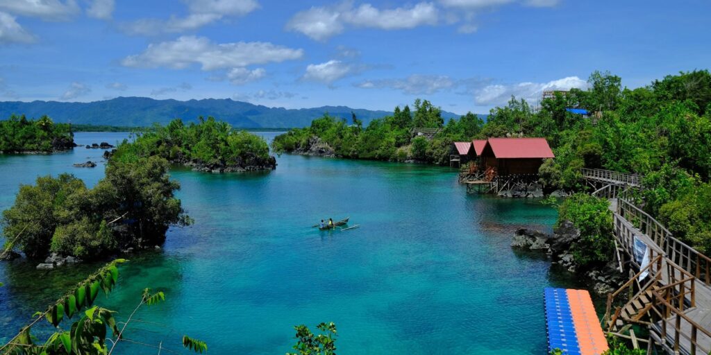 Supplier Kopi Luwak di Halmahera Utara