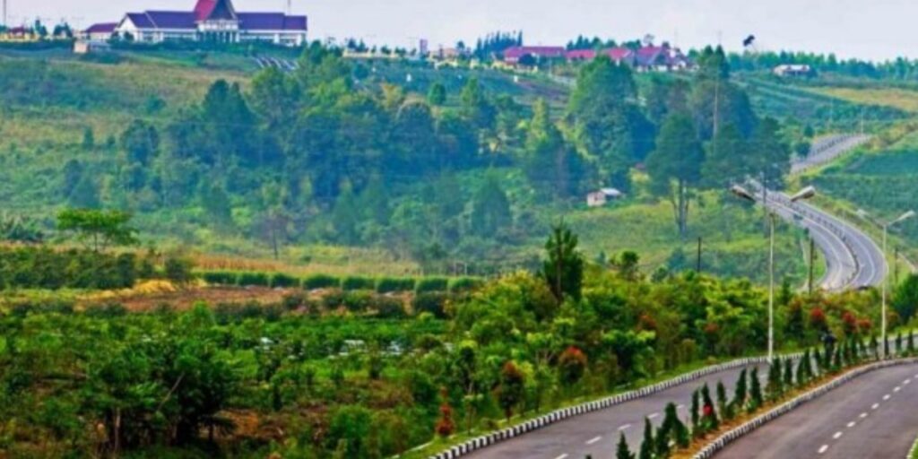 Supplier Kopi Luwak di Humbang Hasundutan