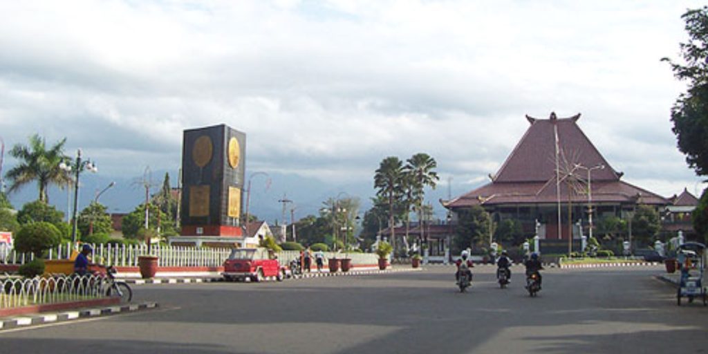 Supplier Kopi Luwak di Jember
