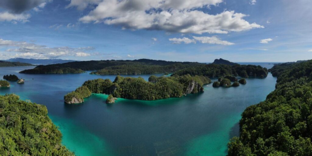 Supplier Kopi Luwak di Kaimana