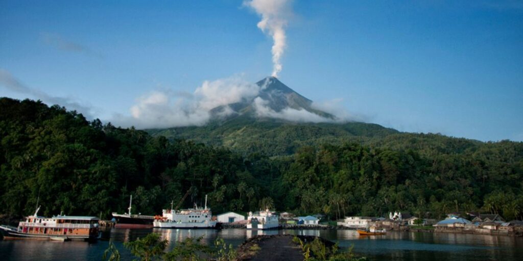 Supplier Kopi Luwak di Kepulauan Sitaro