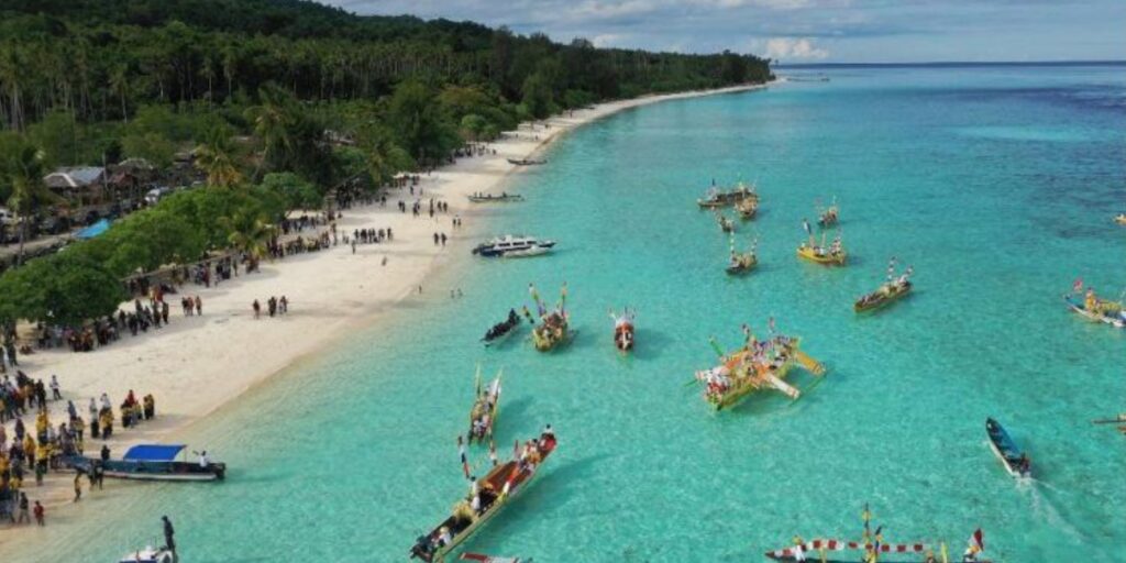 Supplier Kopi Luwak di Kepulauan Sula