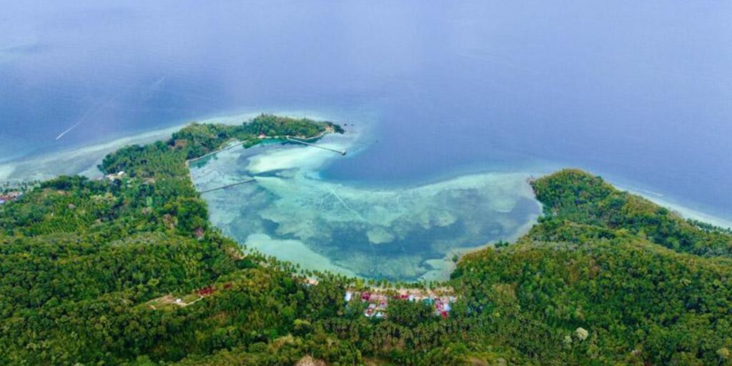 Supplier Kopi Luwak di Konawe Selatan