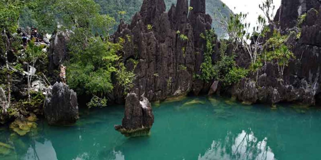 Supplier Kopi Luwak di Konawe Utara