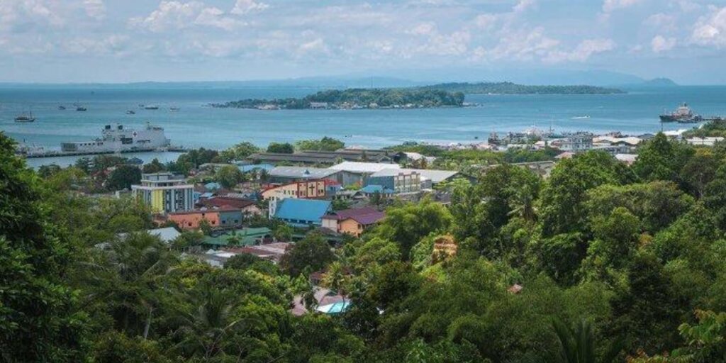 Supplier Kopi Luwak di Kota Sorong