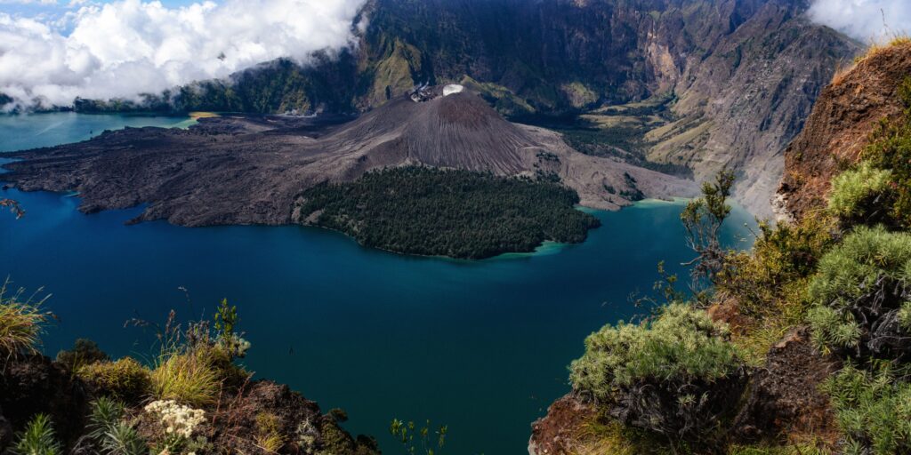 Supplier Kopi Luwak di Lombok Timur