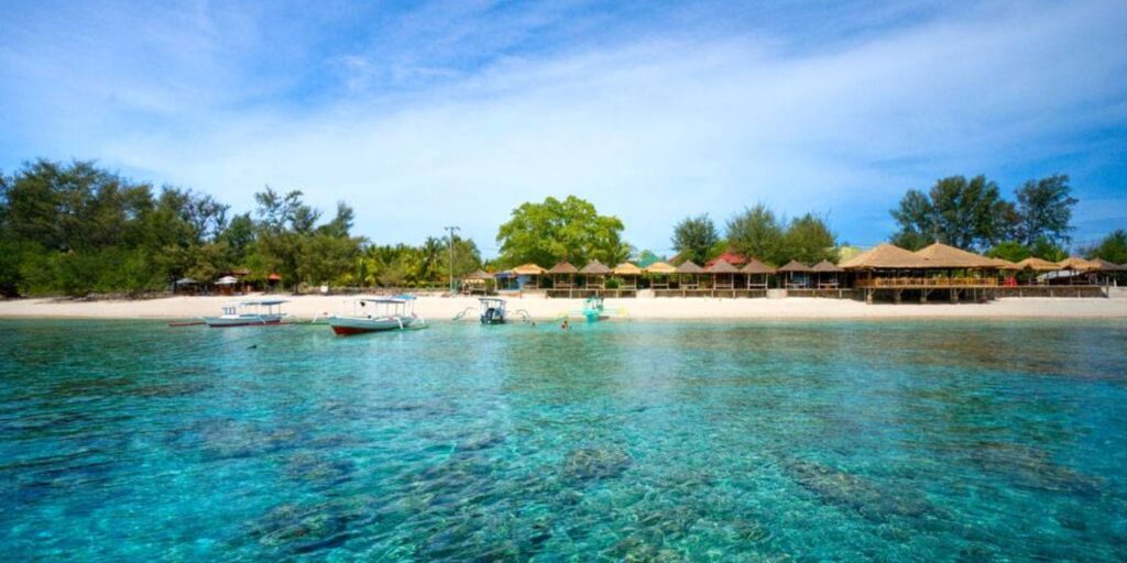 Supplier Kopi Luwak di Lombok Utara