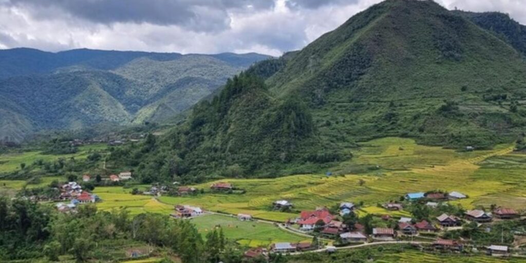 Supplier Kopi Luwak di Luwu Utara