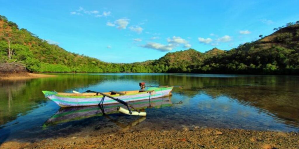 Supplier Kopi Luwak di Malaka