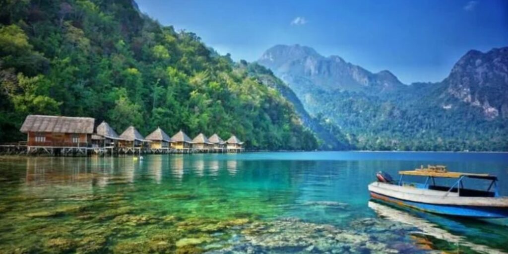 Supplier Kopi Luwak di Maluku Tengah