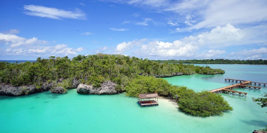 Supplier Kopi Luwak di Maluku Tenggara