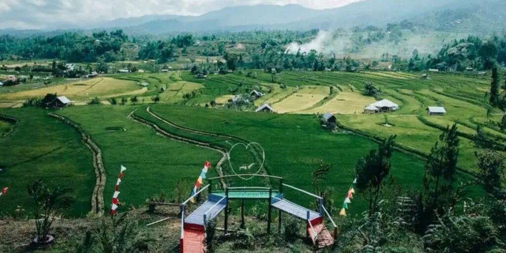 Supplier Kopi Luwak di Mamasa