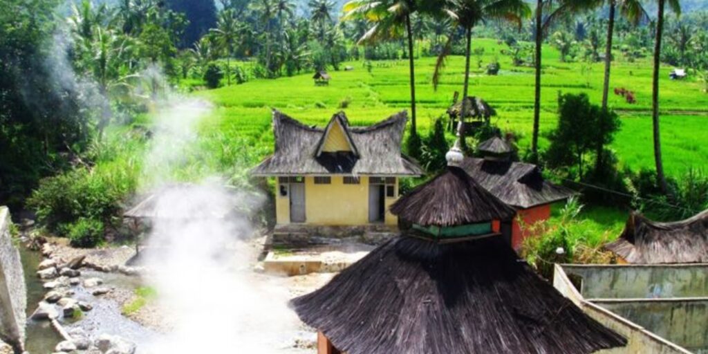 Supplier Kopi Luwak di Mandailing Natal