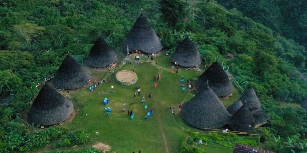 Supplier Kopi Luwak di Manggarai