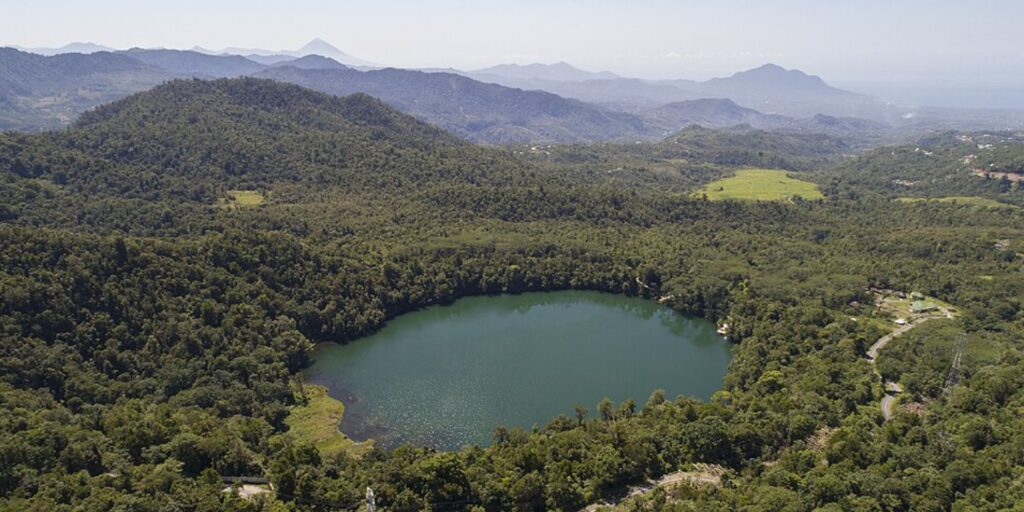 Supplier Kopi Luwak di Manggarai Timur