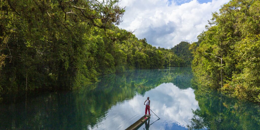 Supplier Kopi Luwak di Maybrat