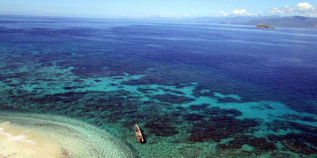 Supplier Kopi Luwak di Minahasa Tenggara