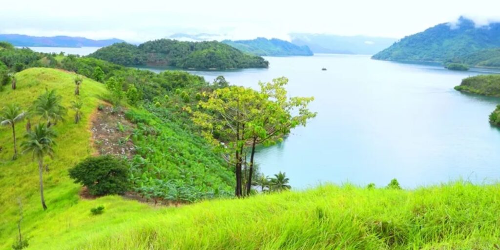 Supplier Kopi Luwak di Morowali Utara