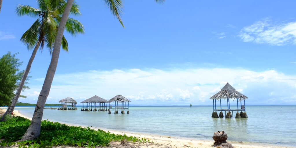 Supplier Kopi Luwak di Muna Barat