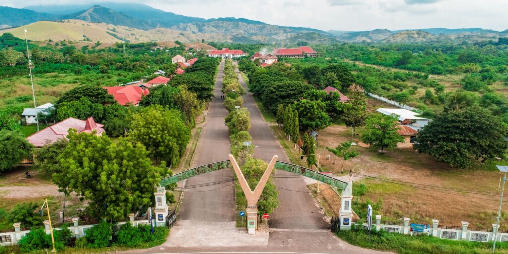 Supplier Kopi Luwak di Nagekeo