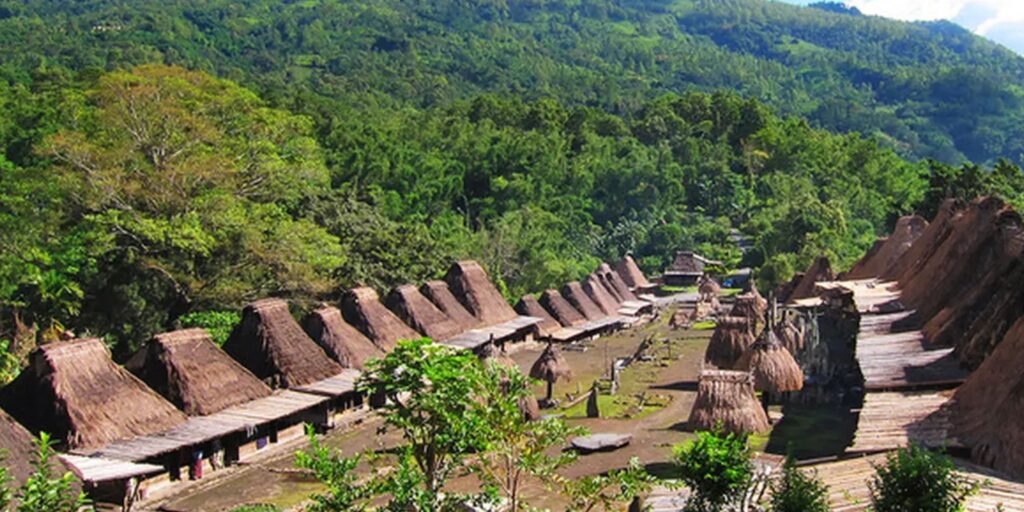 Supplier Kopi Luwak di Ngada