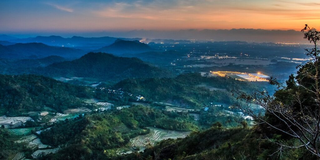 Supplier Kopi Luwak di Pangkajene Kepulauan