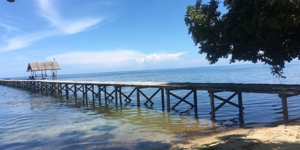 Supplier Kopi Luwak di Parigi Mautong