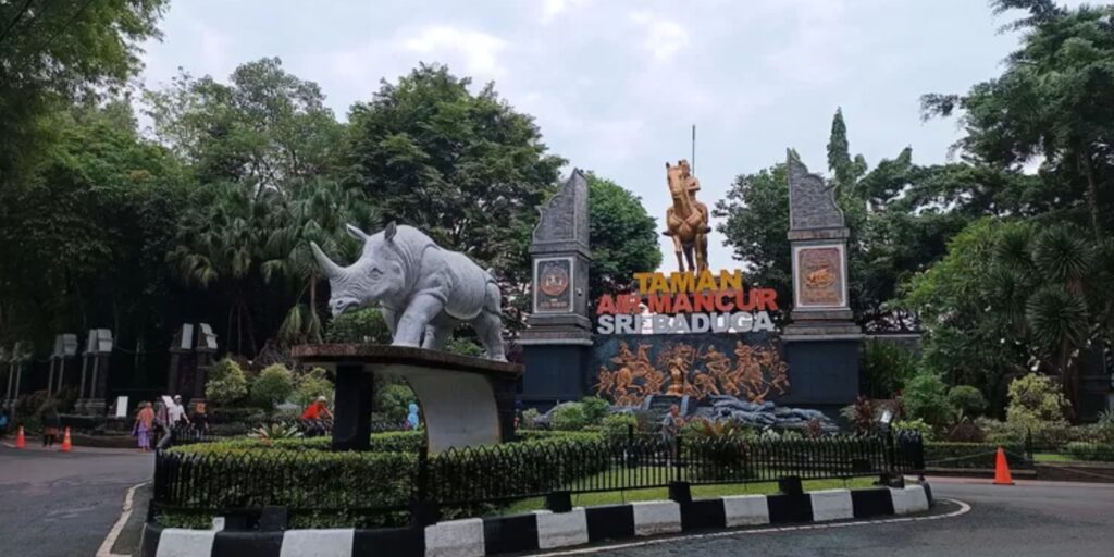 Supplier Kopi Luwak di Purwakarta