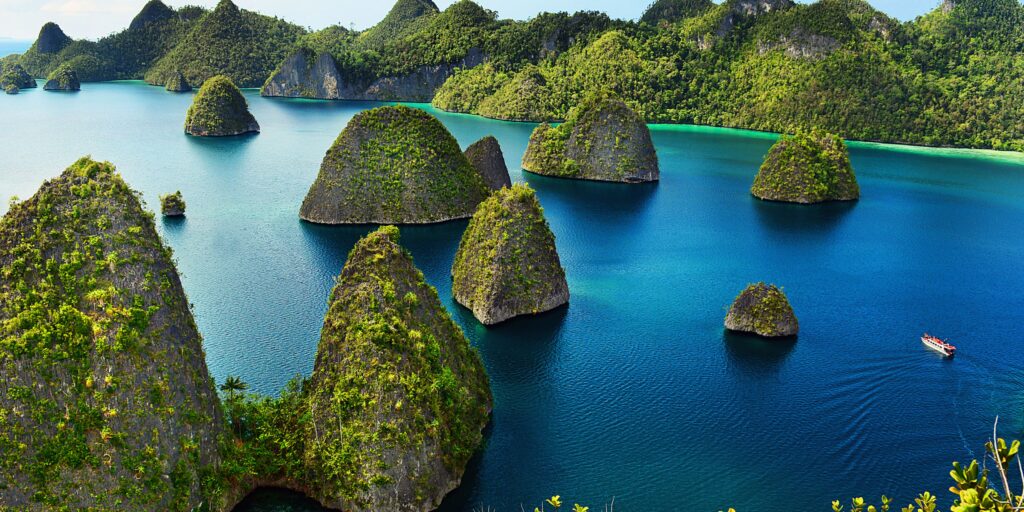 Supplier Kopi Luwak di Raja Ampat