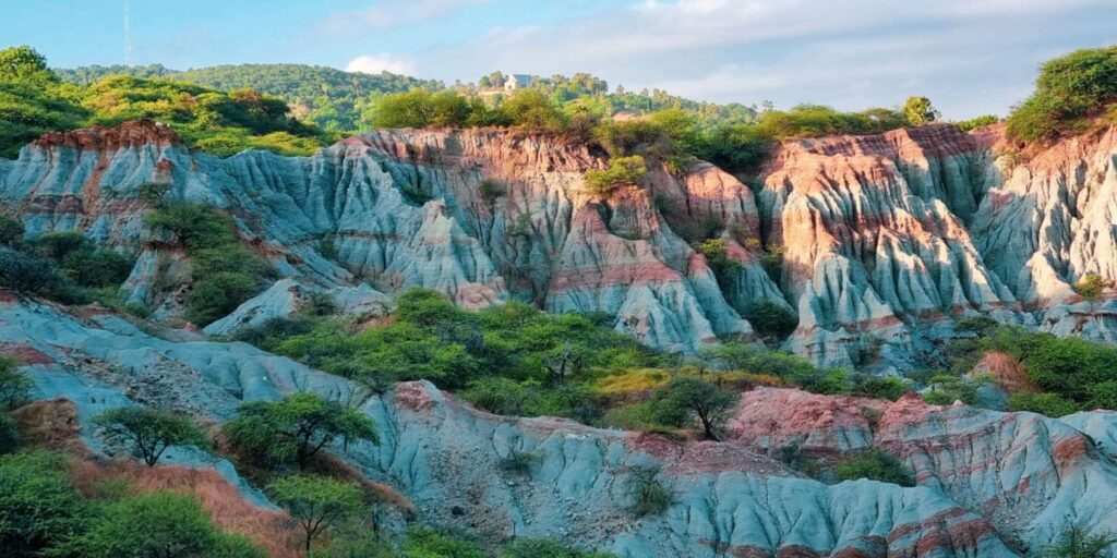 Supplier Kopi Luwak di Sabu Raijua