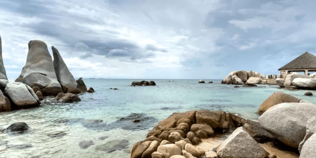 Supplier Kopi Luwak di Sarmi