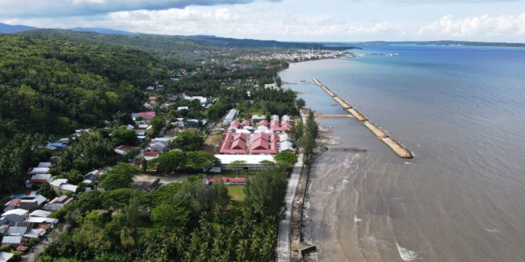 Supplier Kopi Luwak di Selayar