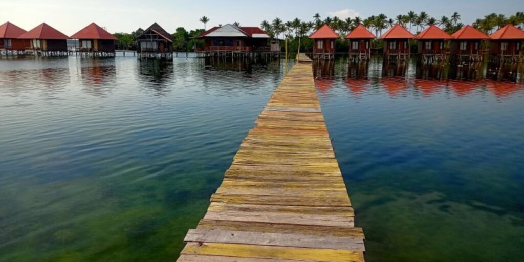 Supplier Kopi Luwak di Seram Bagian Barat