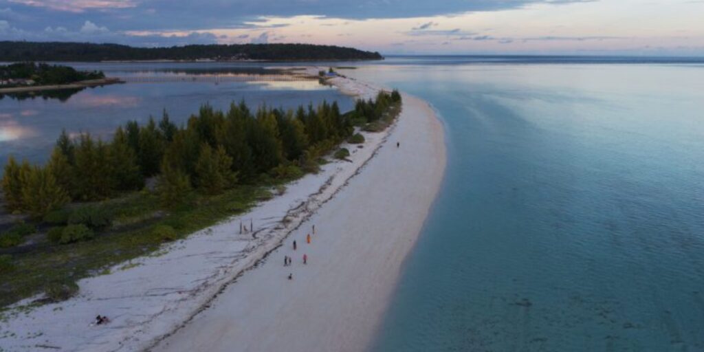 Supplier Kopi Luwak di Seram Bagian Timur